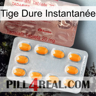 Tige Dure Instantanée new13